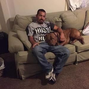 Meet your Posher, Angel